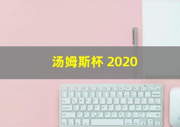 汤姆斯杯 2020